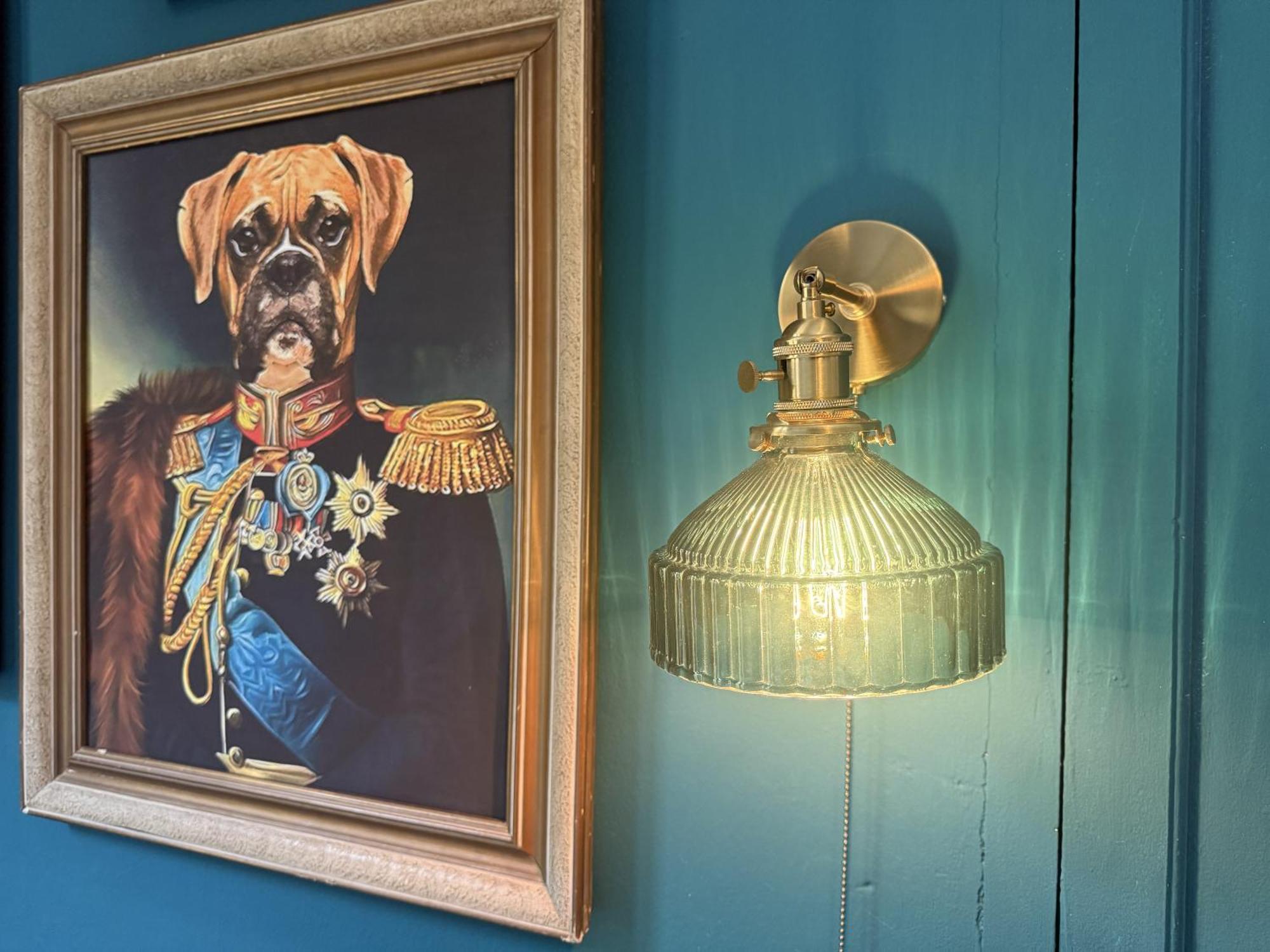 Dog Admiral - Urban * Palma