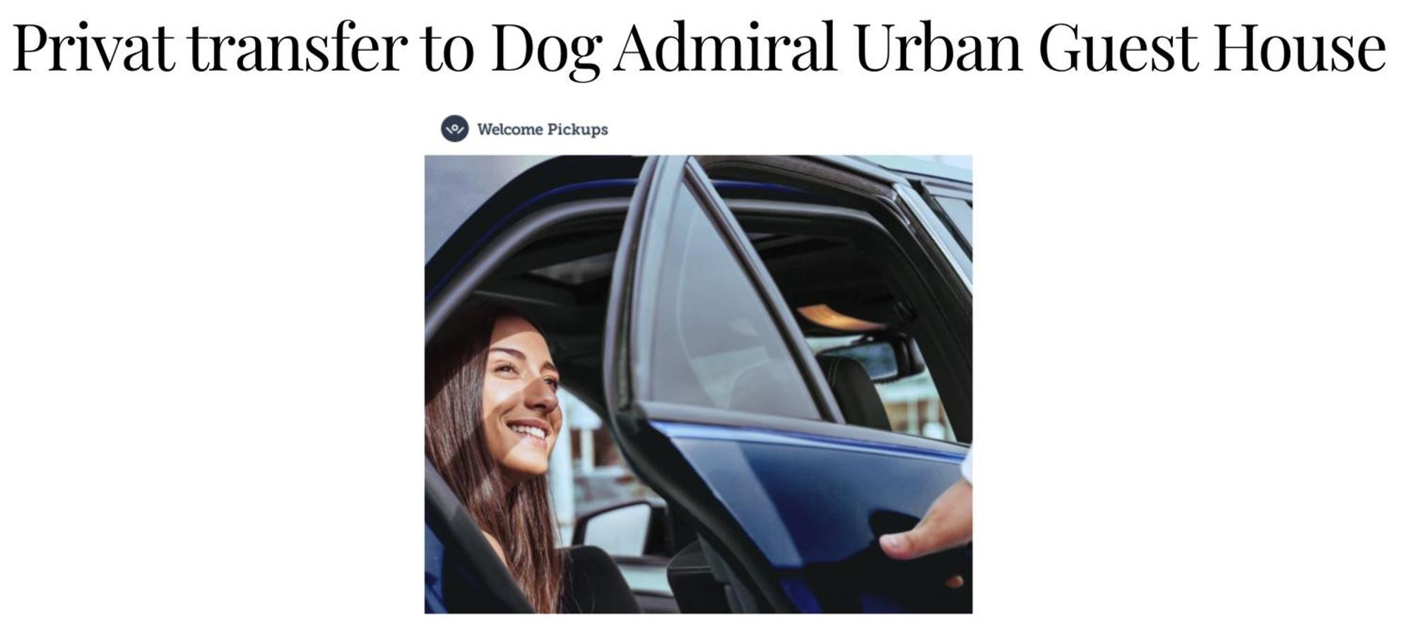 Homestay Dog Admiral - Urban